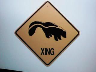 Skunk Crossing Signs